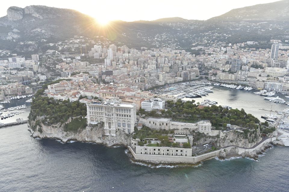 Art Monaco 2015